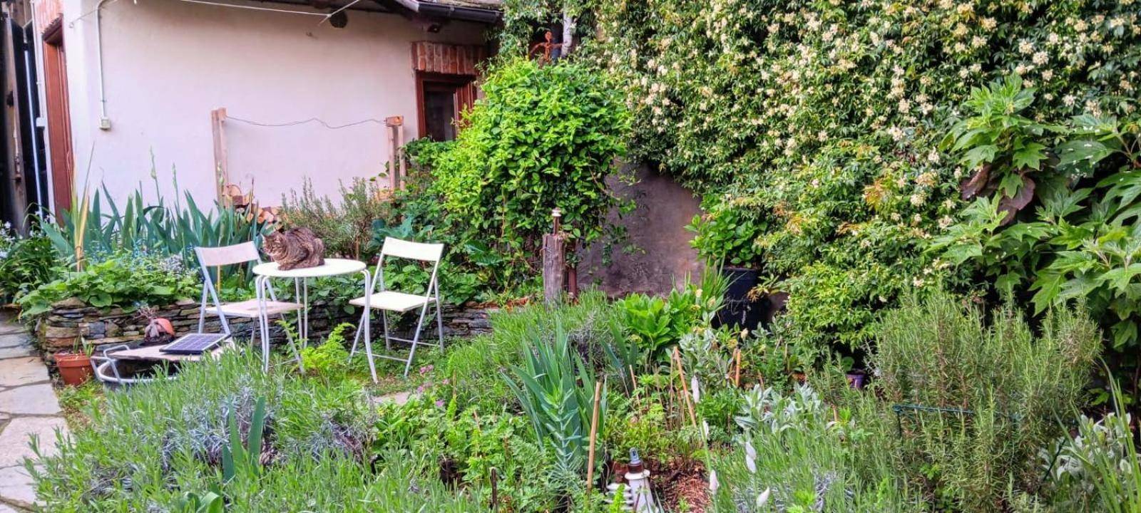 La Marmotta Luserna San Giovanni Exterior foto